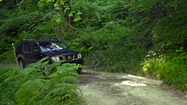 A black Nissan Pathfinder navigating through a lush green forest trail.