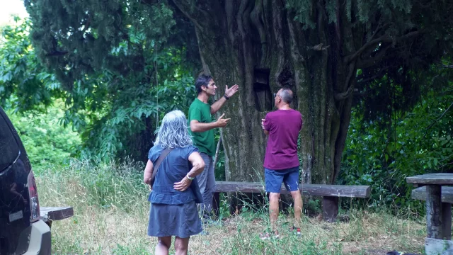 A group of people discussing near a large tree in a lush green environment.